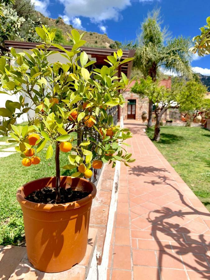 B&B Villa Vittoria Giardini Naxos Luaran gambar